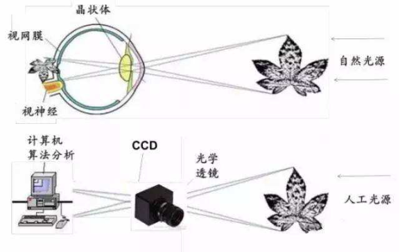 1611034067764717.png blob.png